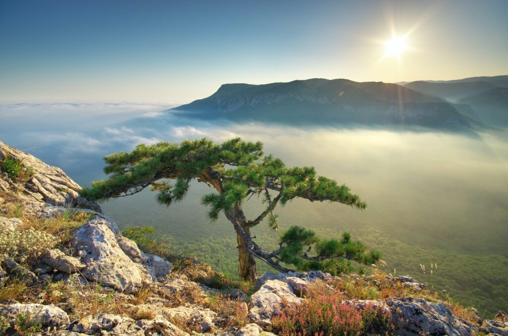 mountain landscape - Autovykup